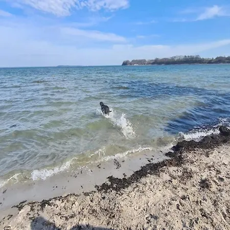 4 Person In Hejls-by Traum